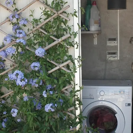With One Bedroom In Viareggio, With Wonderful Mountain View Viareggio
