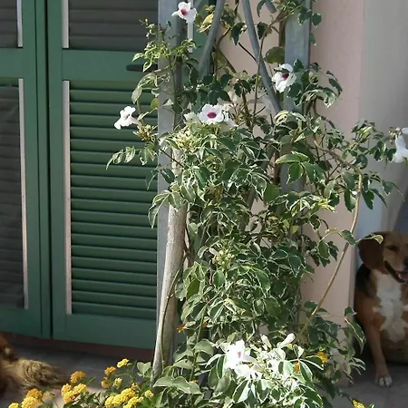 Apartment With One Bedroom In Viareggio, With Wonderful Mountain View